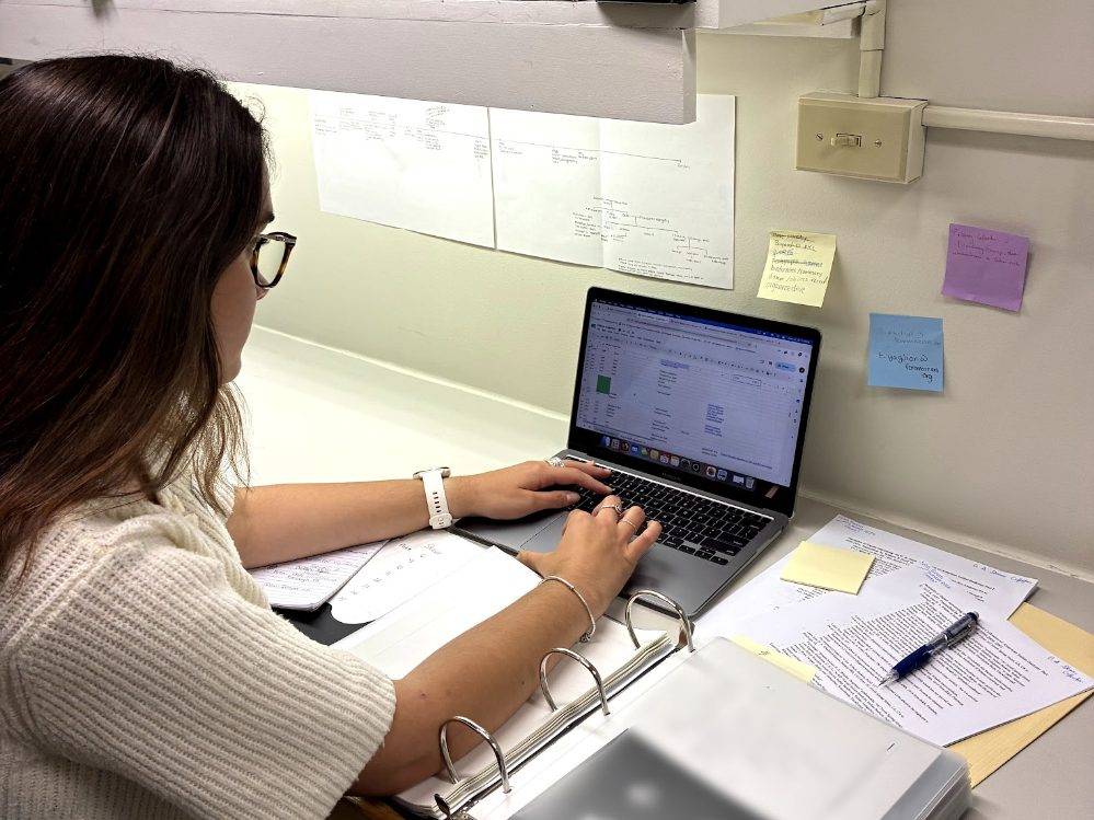 Julia Bihari ’27 worked with the Fenimore Art Museum in Cooperstown, NY, this summer as part of the Upstate Institute Summer Field School.
