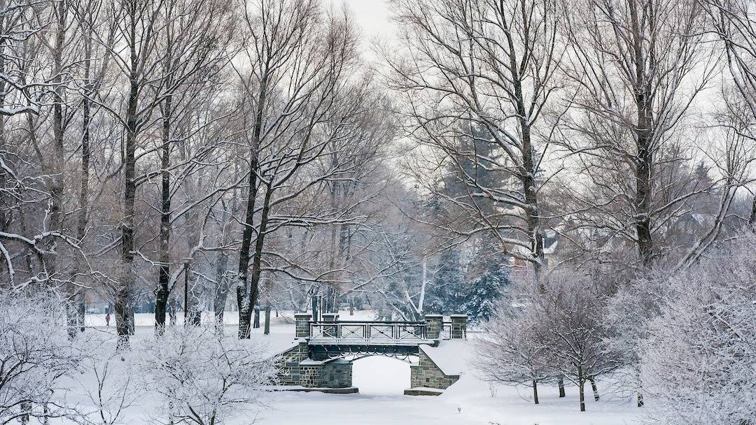 Bridge on Willow Path in winter