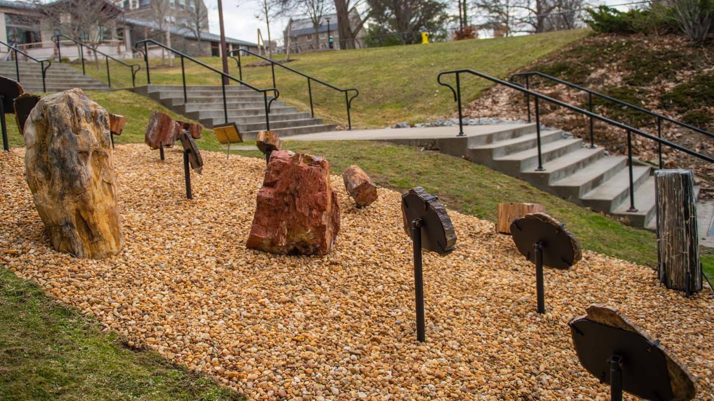 Petrified Woods Exhibit