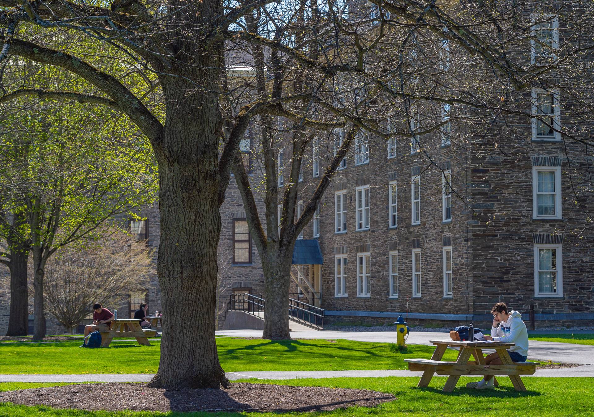 Student reading at a picnic table on Colgate's Residential Quad