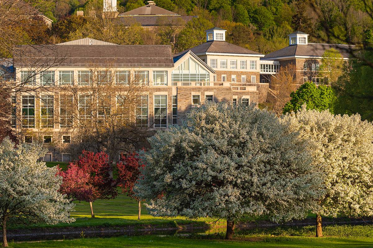 Spring campus photo