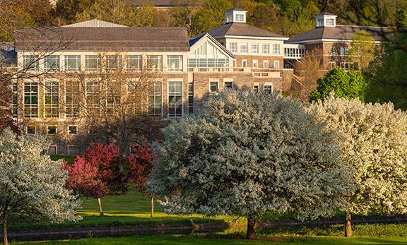 Spring campus photo