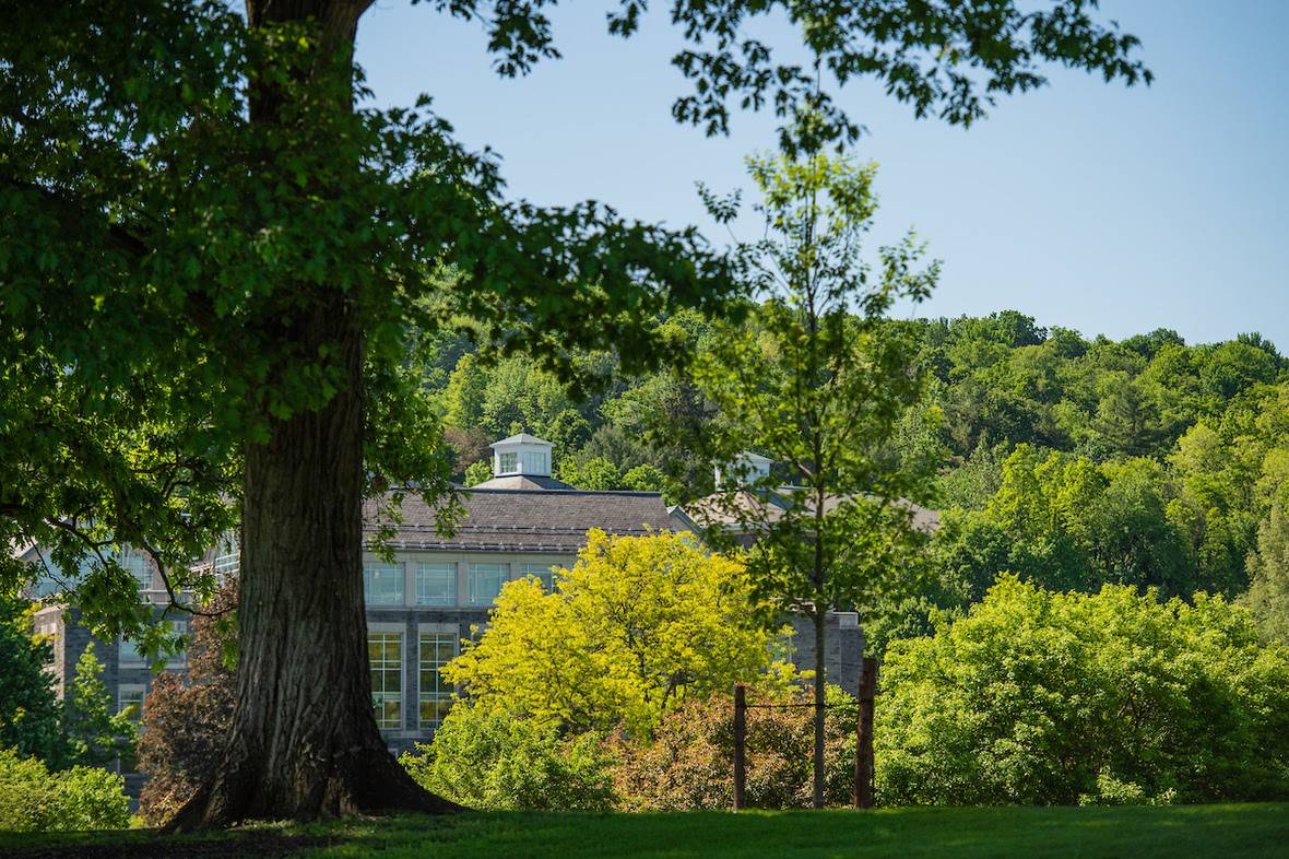 Colgate campus with greenery all around