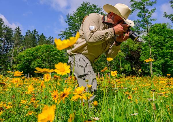 Matthew McGeary '24 photographs bees