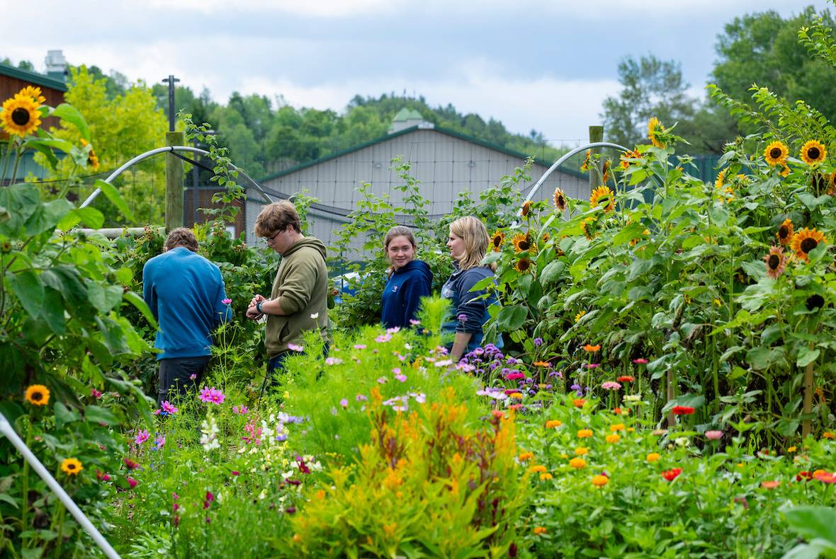 People standing in Colgate Community Garden