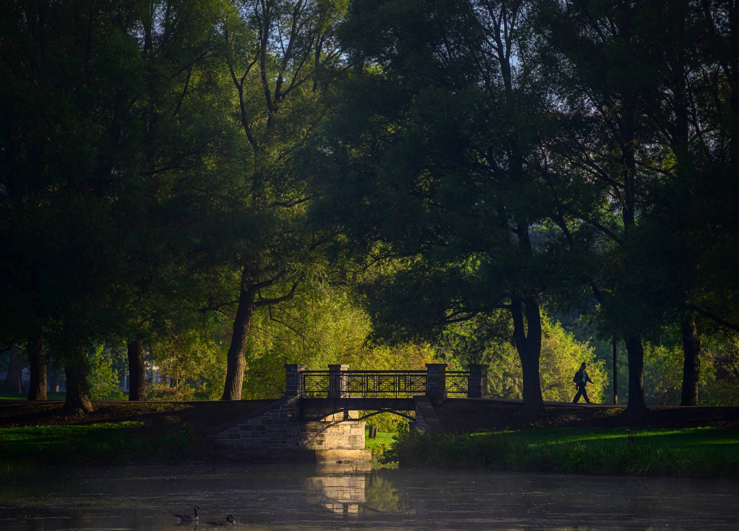 Early morning light illuminates a bridge over a brook, connecting to a lake.