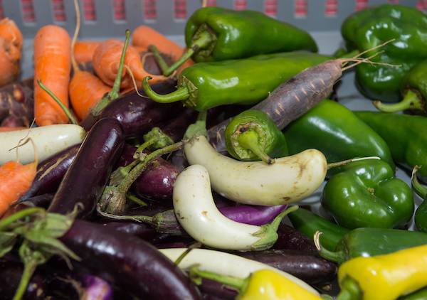 Fresh veggies form the Community Garden