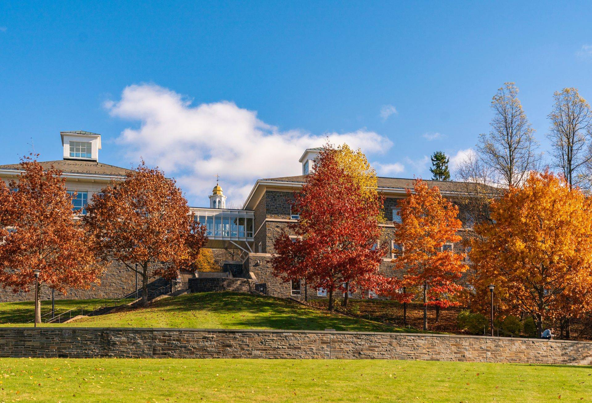 Fall foliage - Persson Hall