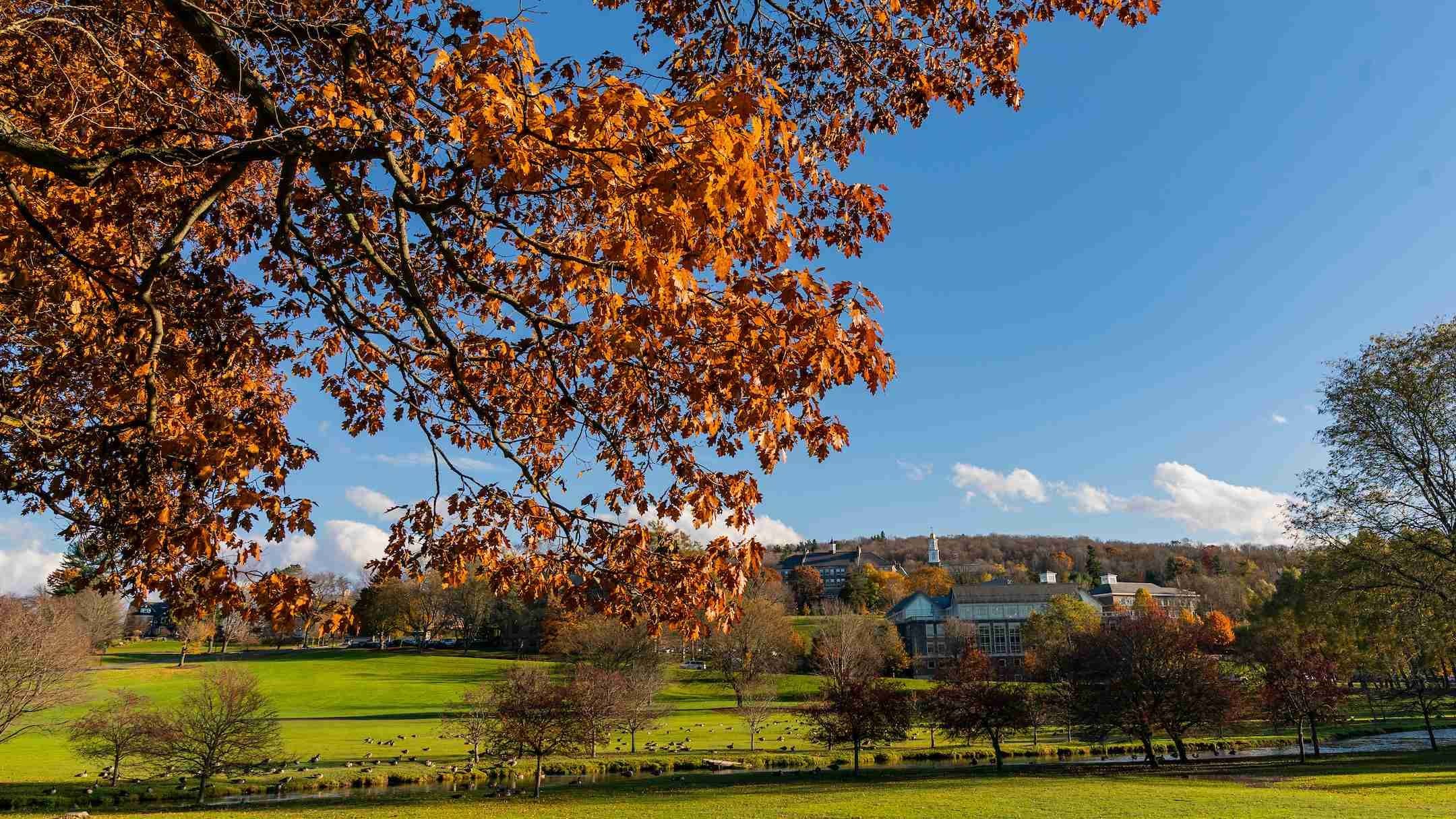 fall image of Colgate campus