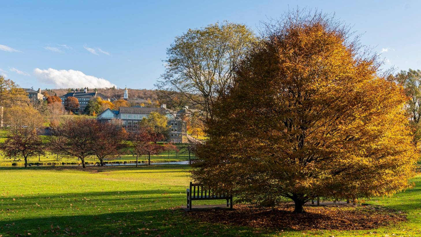 fall image of Colgate campus