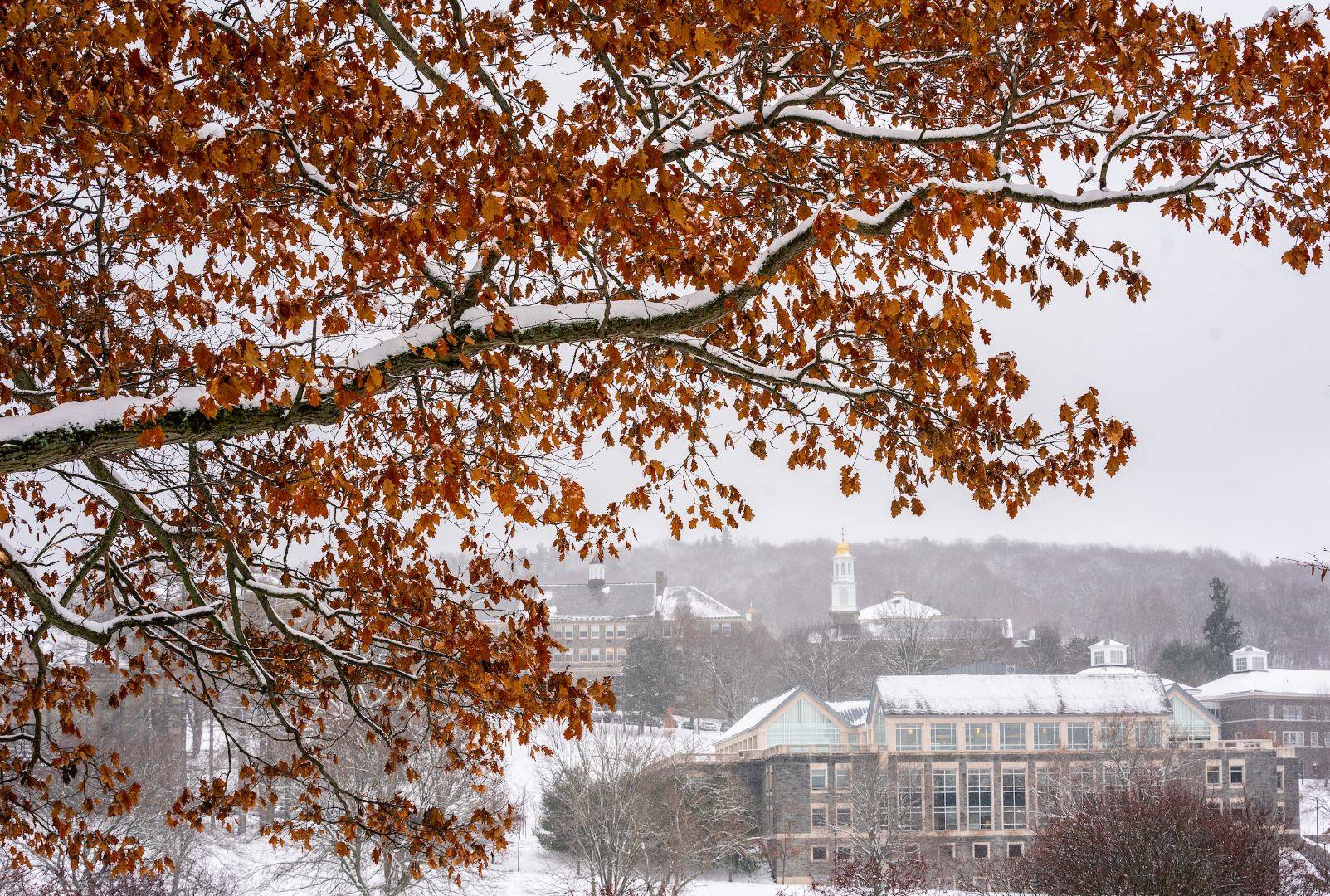 Winter image of Colgate campus