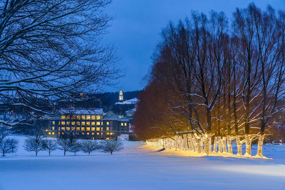 Willow Path, dressed in lights for the season, highlights the golden warmth of lit campus buildings against a deep blue winter backdrop.