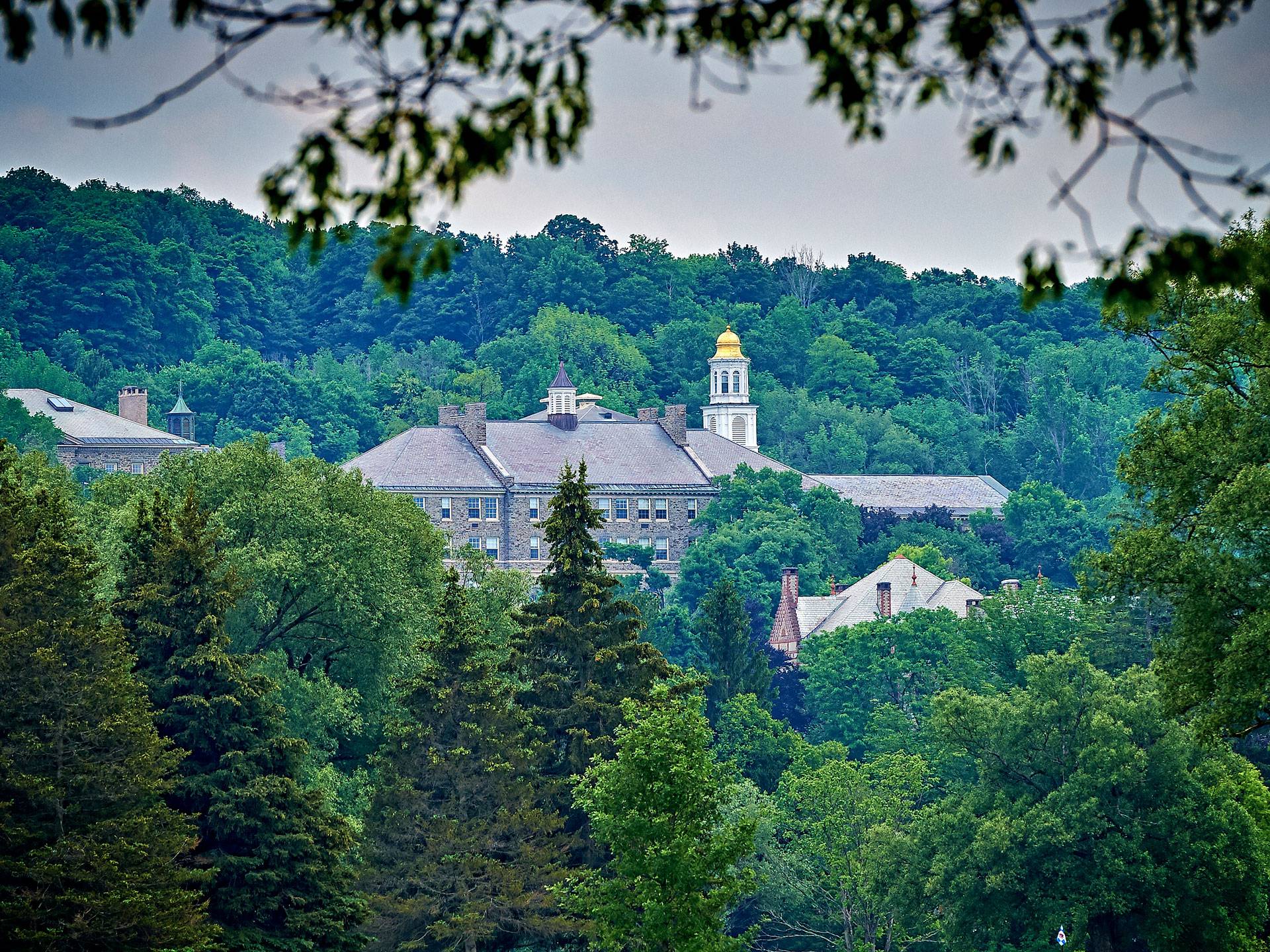 View of campus hill from Seven Oaks