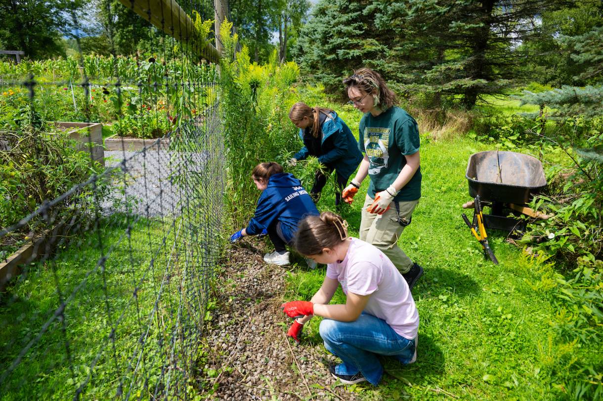 students working in garden