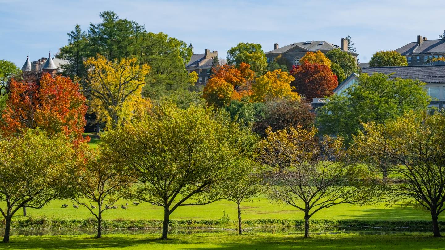 Fall photo of trees along the water stream on campus.