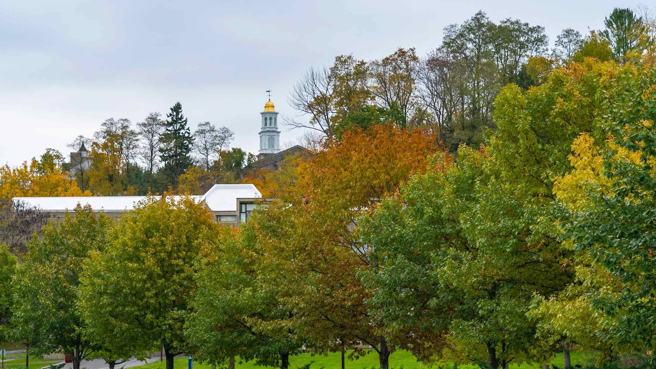 Autumn trees, Memorial Chapel
