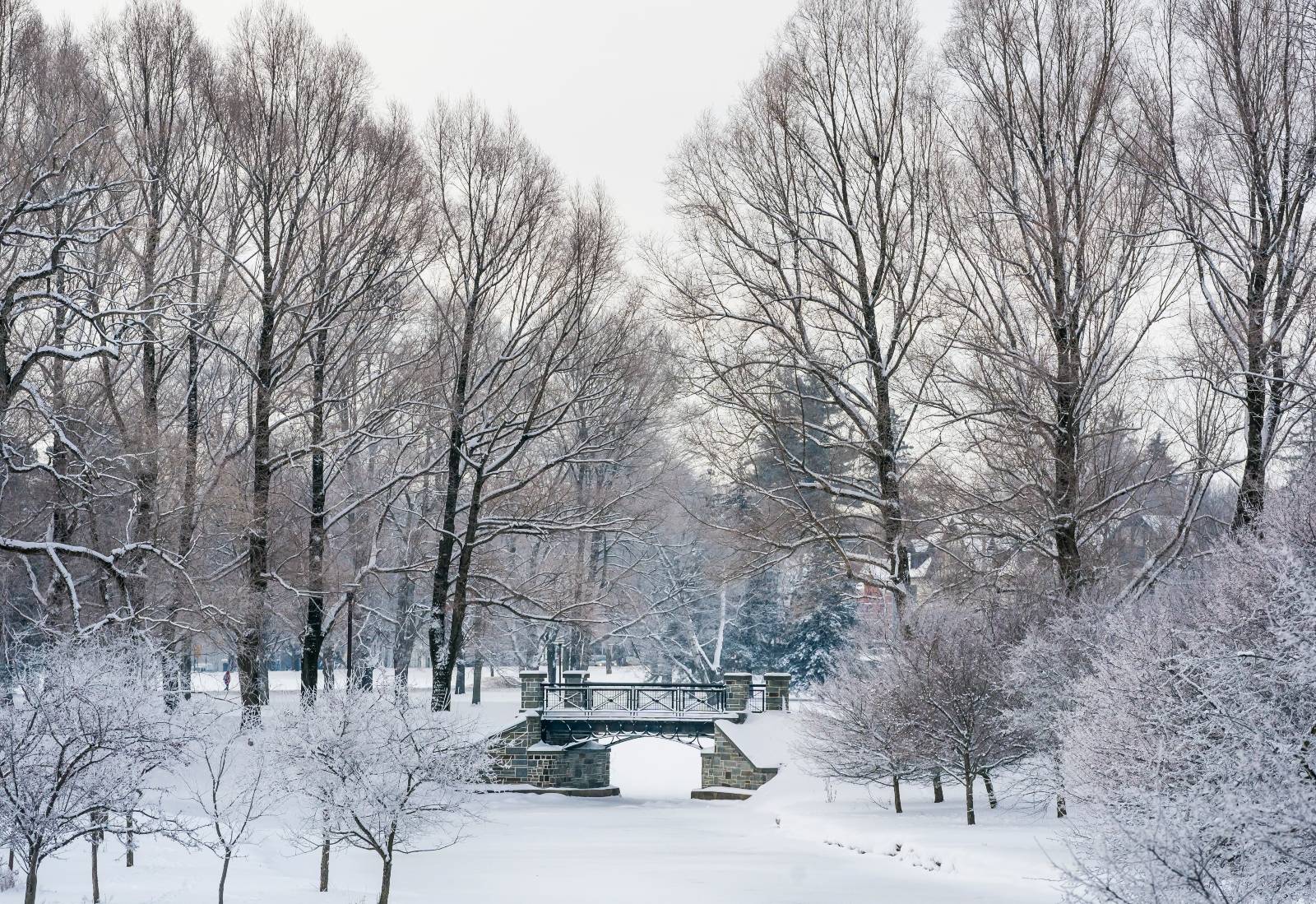 Campus Scenic Winter View