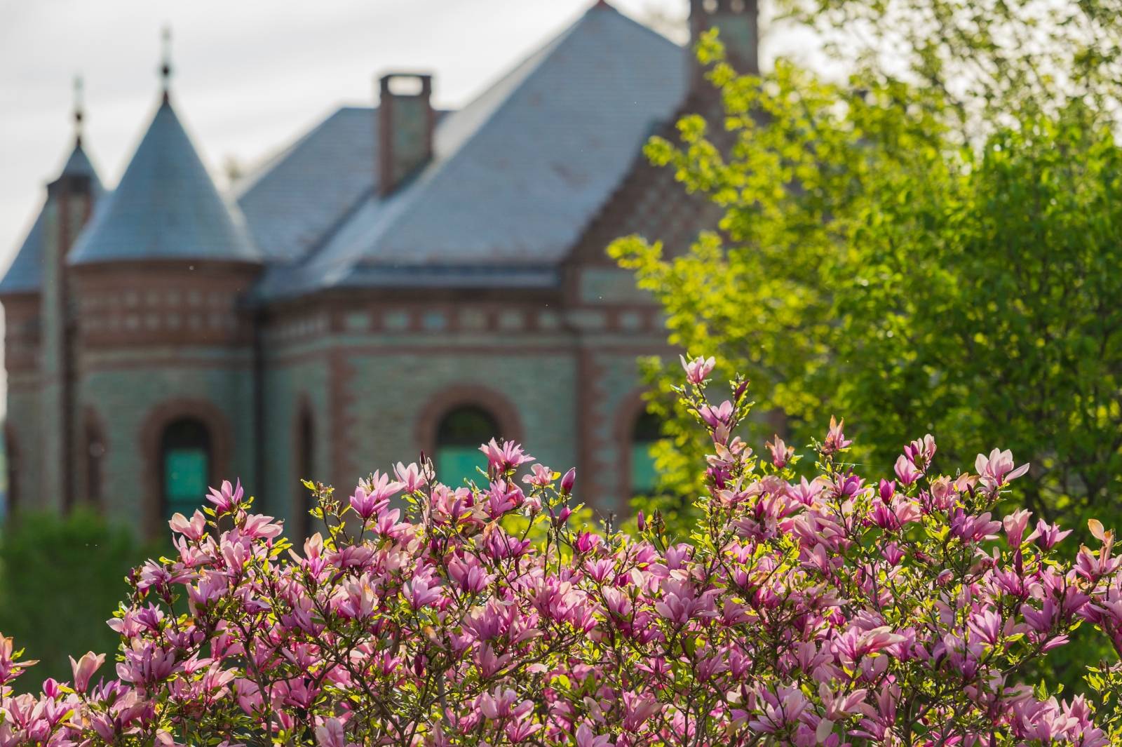 Campus Scenic Spring View