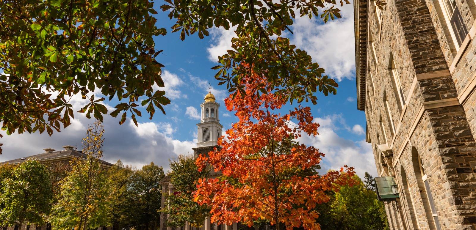 Campus Scenic Fall View