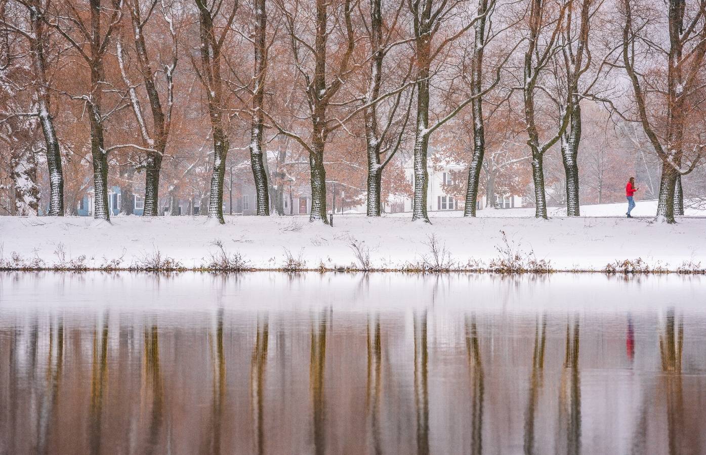 Winter photo of Taylor Lake and trees lining Willow Drive.