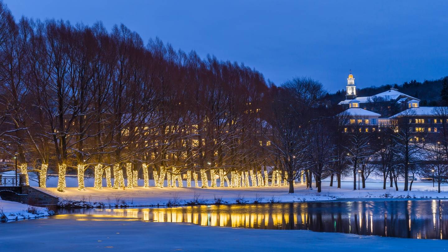 Picture of lighted trees along Willow Path in December.