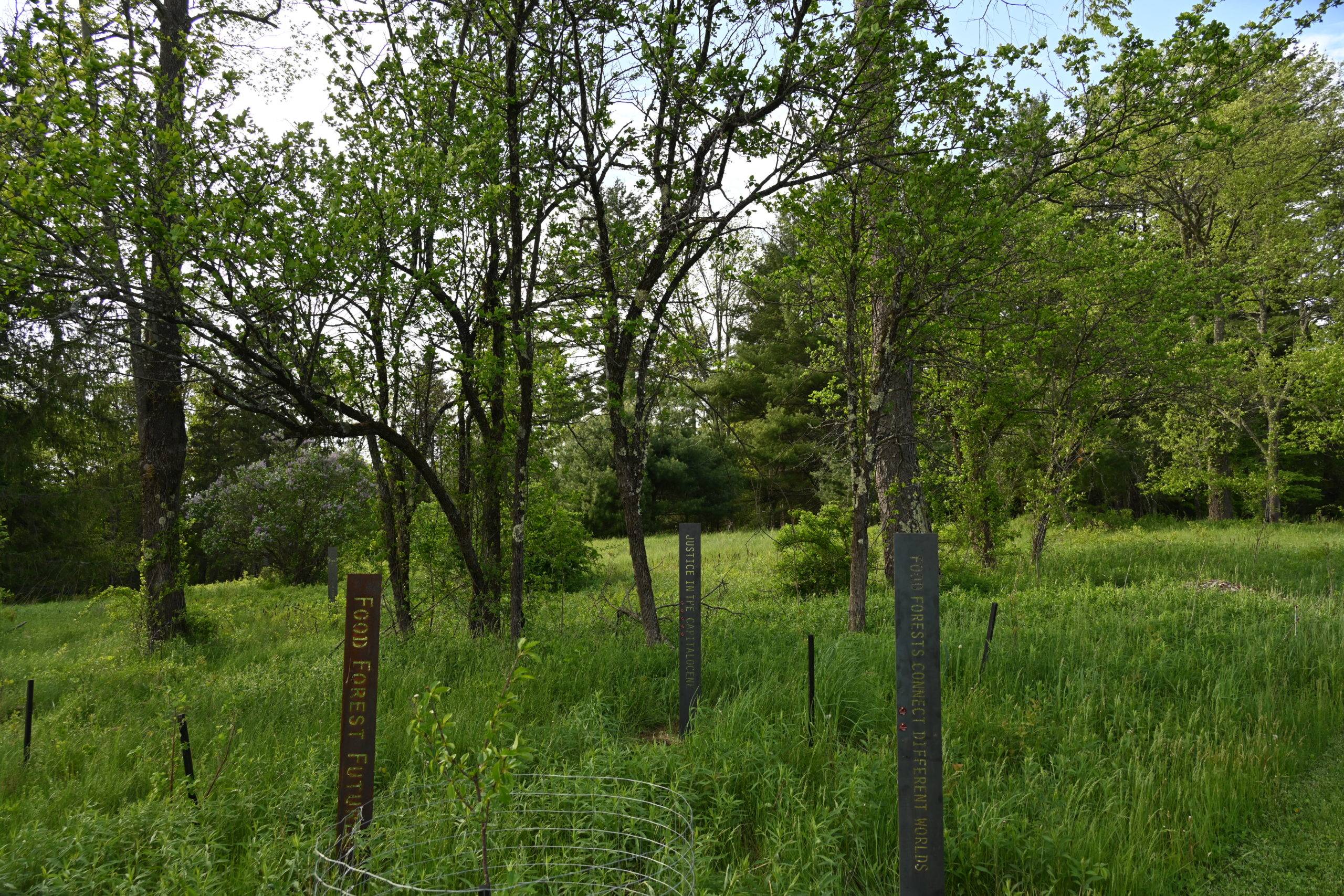 Food Forest Futures installation -- related plantings and signs