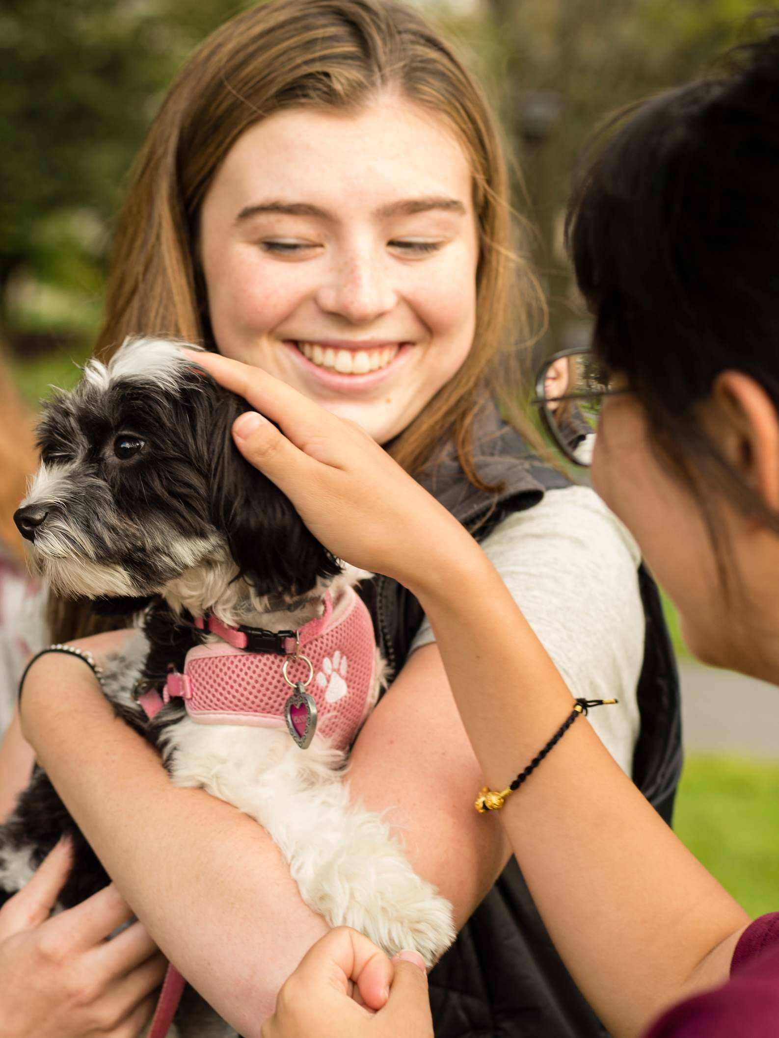 Colgate student with a small dog named Eloise