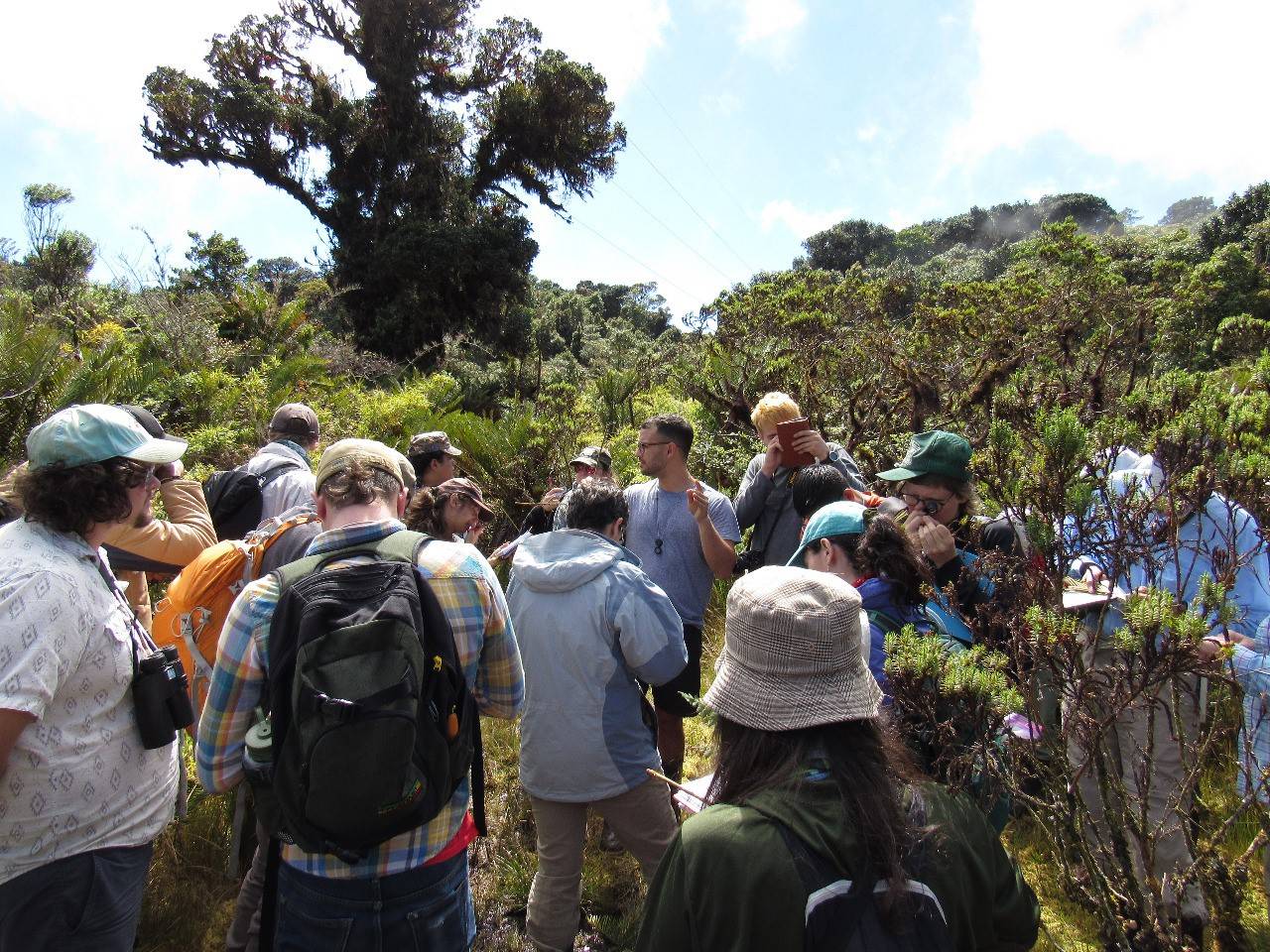 The first day of class in a high elevation bog with extremely unique ferns.