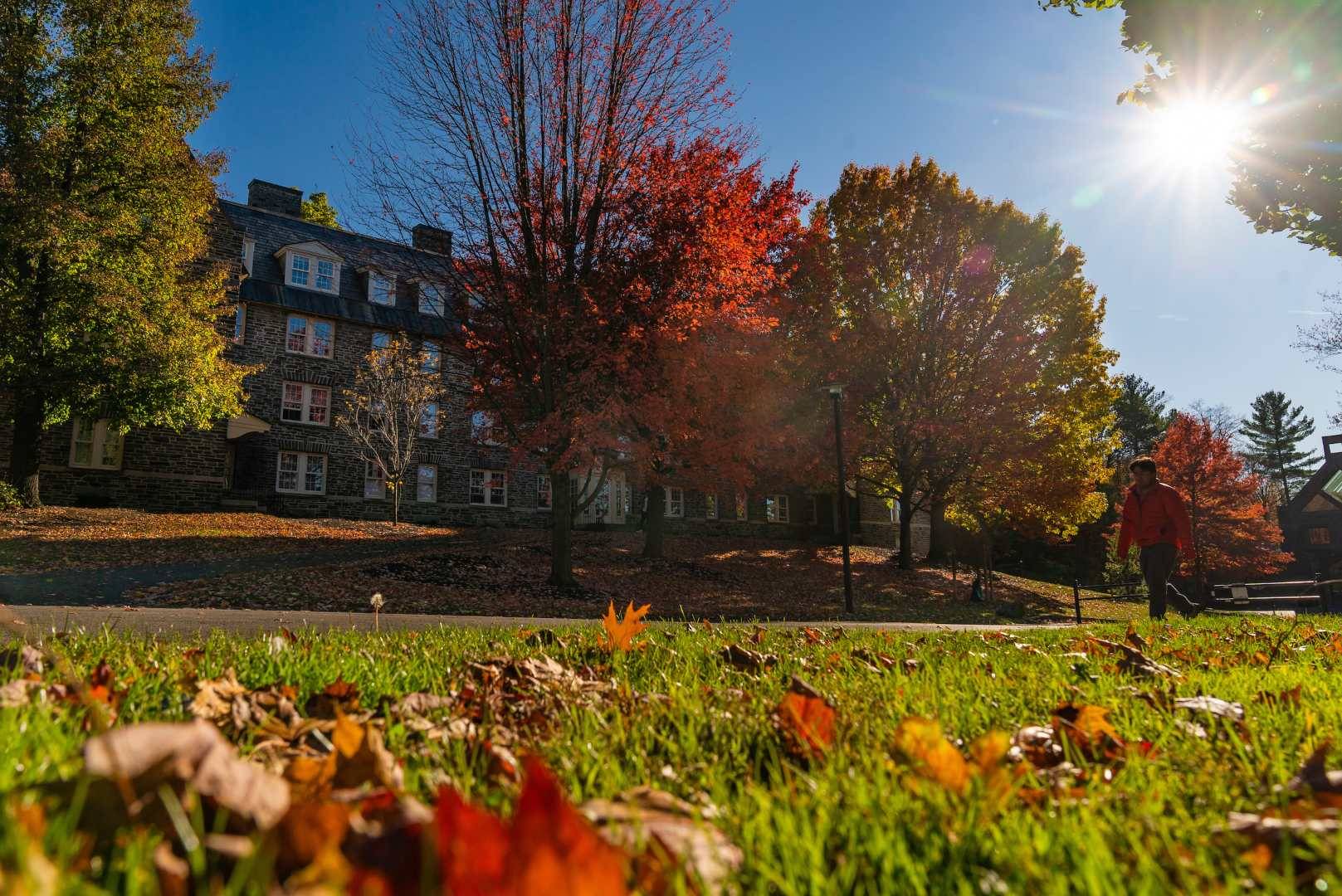 fall foliage on campus