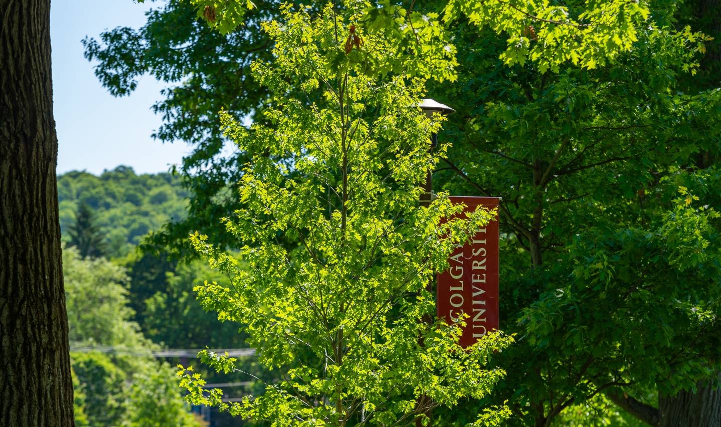 Green trees along Oak Drive with Colgate University Flag