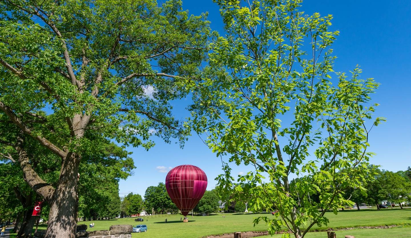 Hot air balloon in field along Oak Drive in June