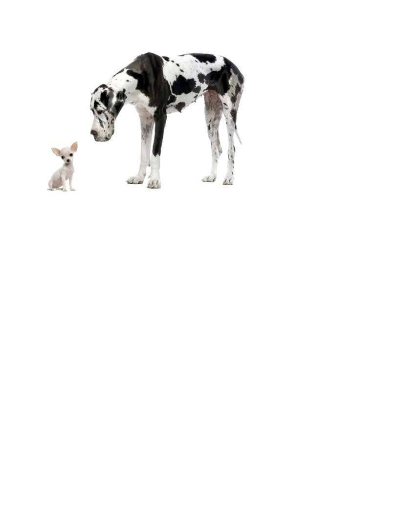 Oncolytic virus susceptibility in dogs