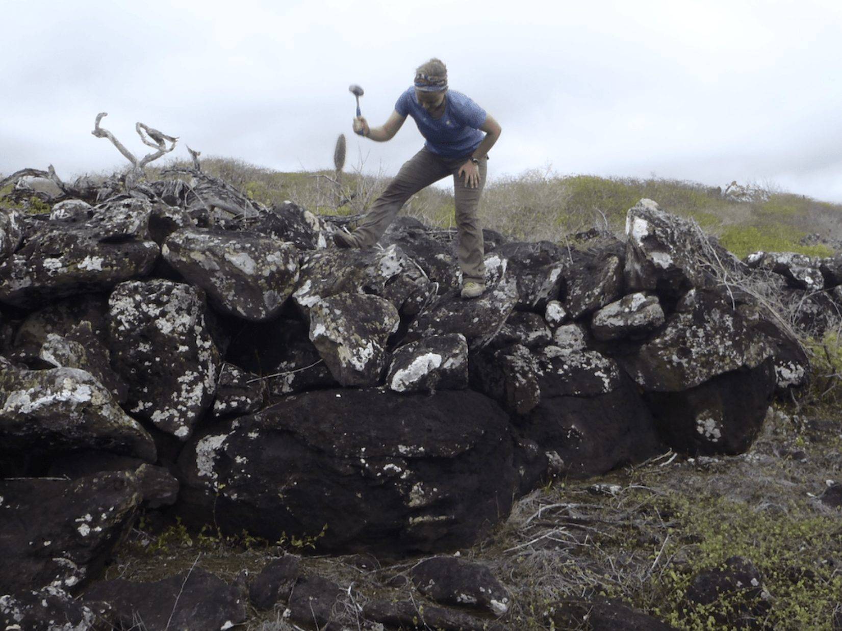 Understanding Volcanic Island Evolution in the Galápagos, Hannah Bercovici '17