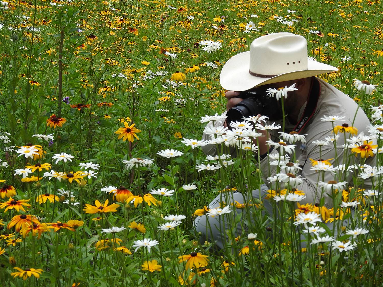 Matthew McGeary in a field of flowers photographing a bumblebee