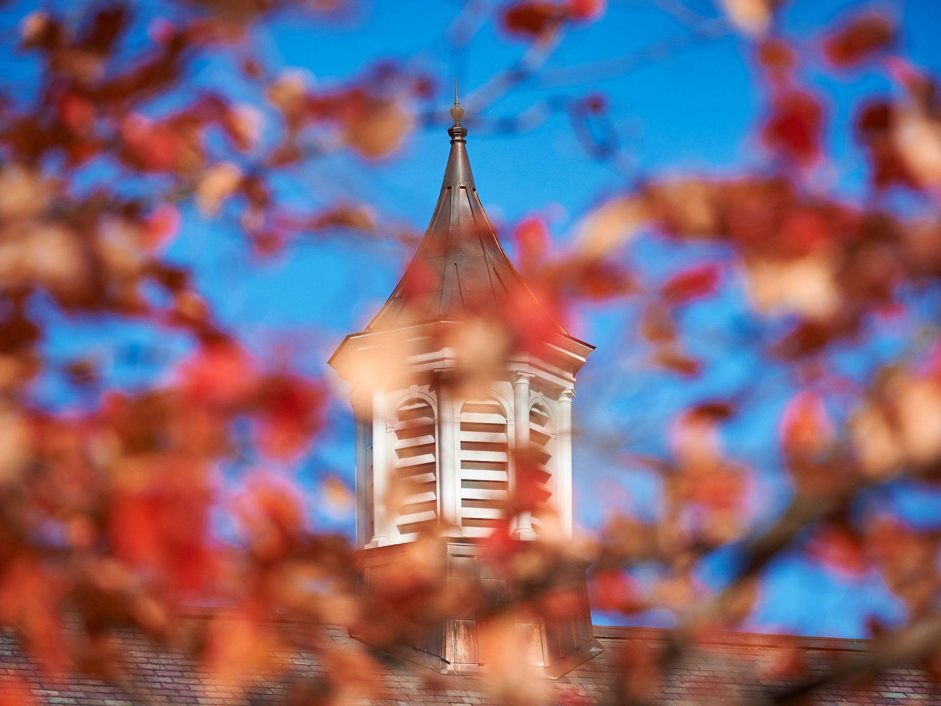 McGregory Hall Cupola with autumn leaves in foreground
