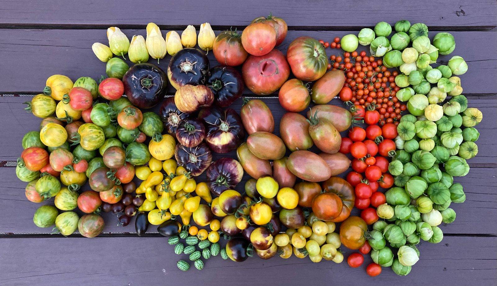 A bounty of peppers and tomatoes