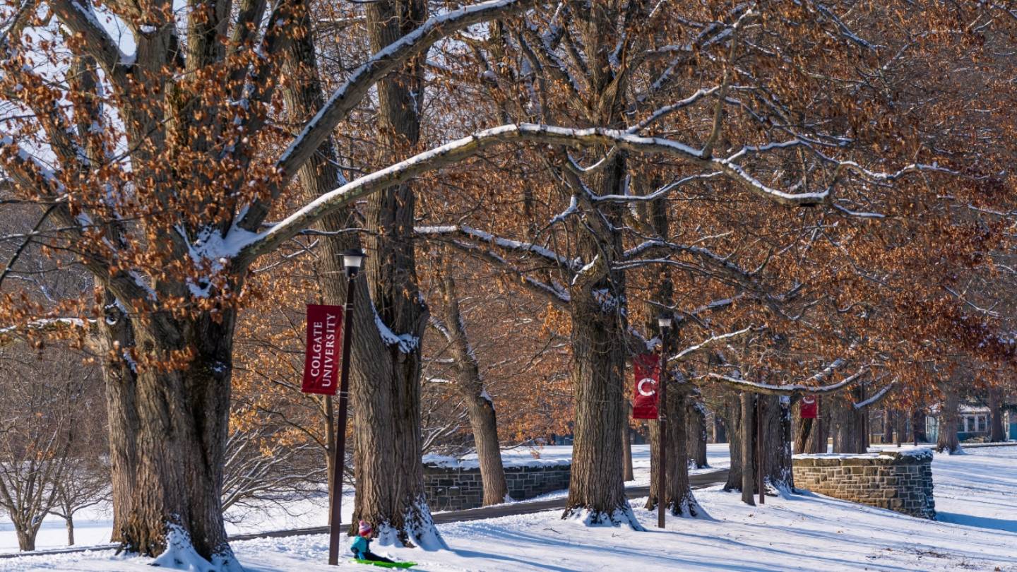 Winter photo of Oak Drive.