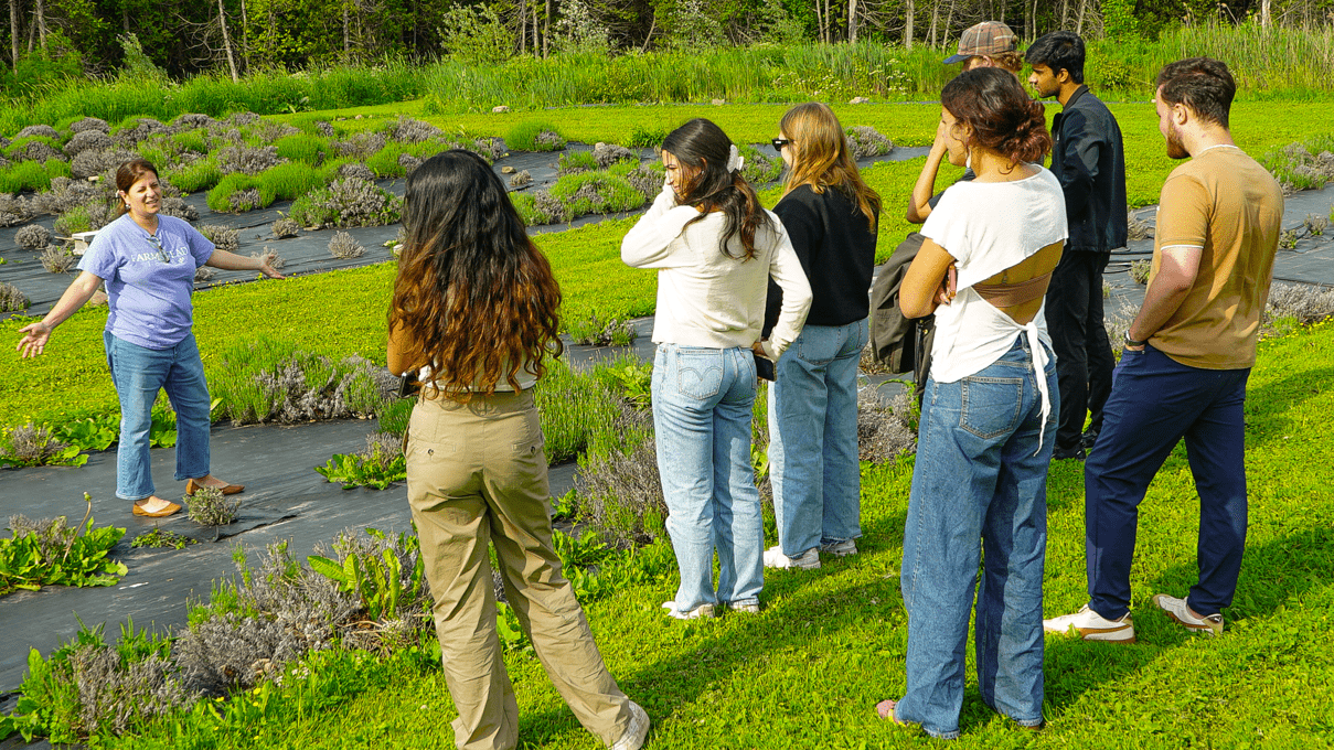 Summer Accelerator participants standing in a field of lavender at Farmstead 1868 while proprietor Monica Cody talks while gesturing her arms.