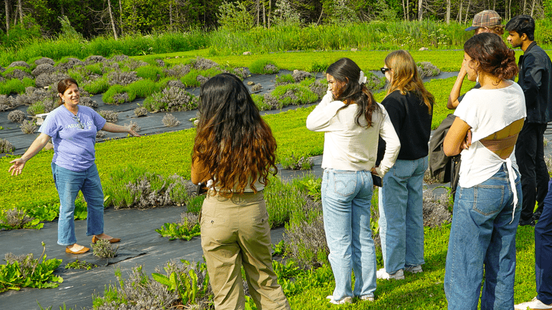 Summer Accelerator participants standing in a field of lavender at Farmstead 1868 while proprietor Monica Cody talks while gesturing her arms.