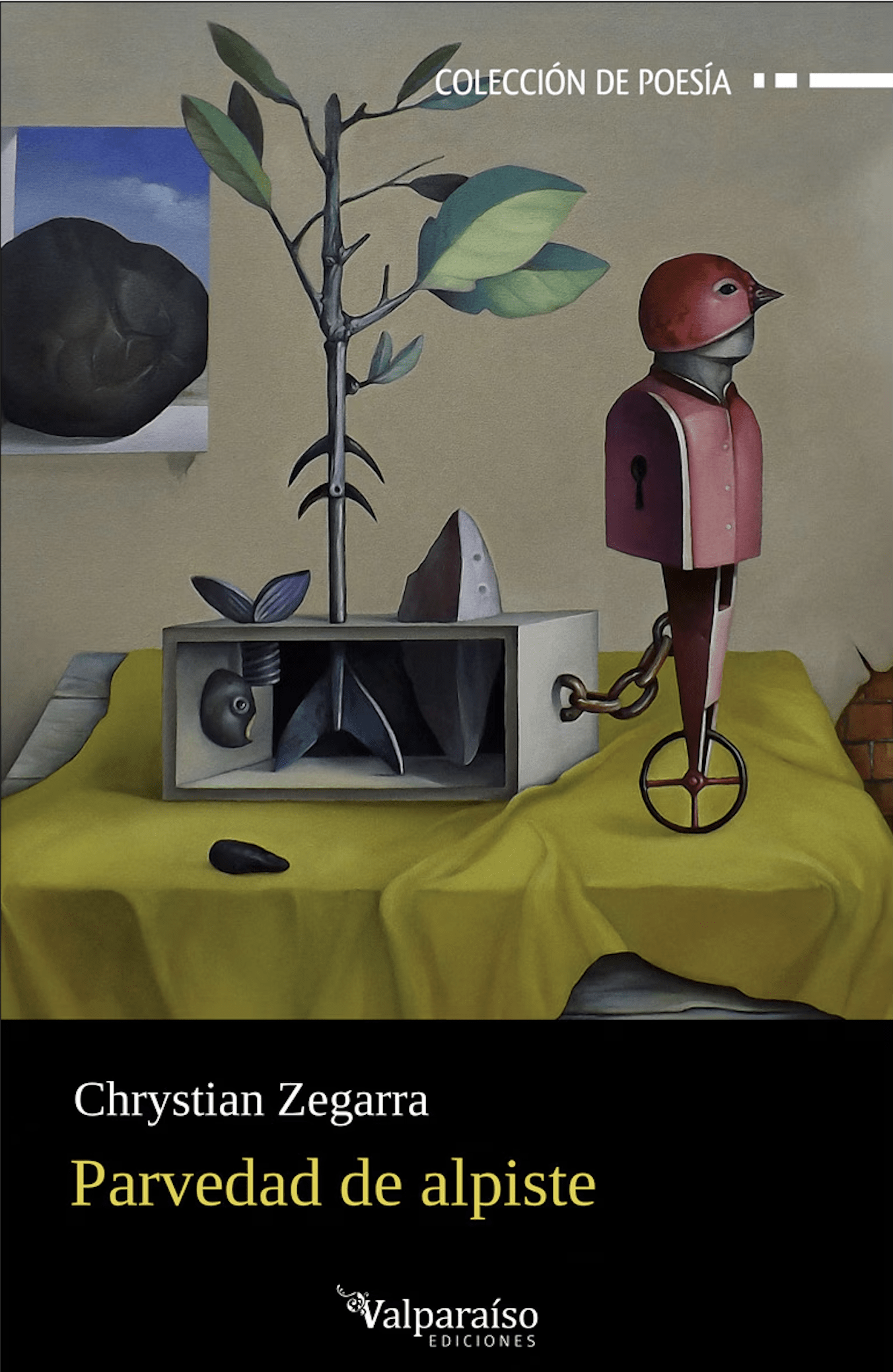 cover of Zegarra's book
