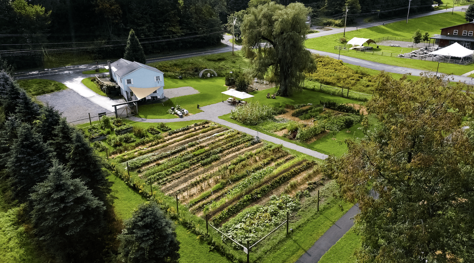 Drone photo of the Community Garden