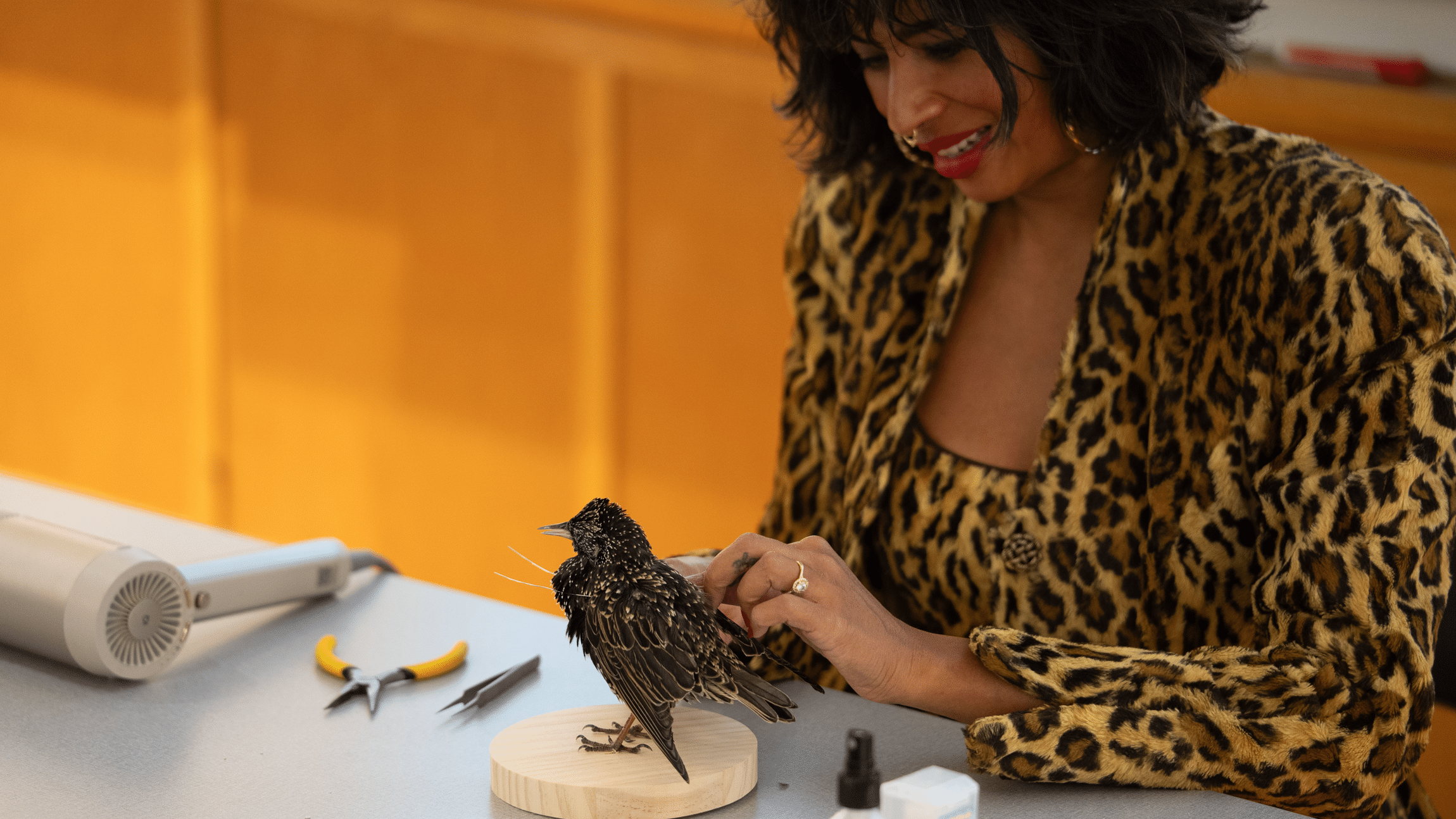 A taxidermist carefully works on a preserved bird mounted on a wooden base, with tools arranged on the table beside her.