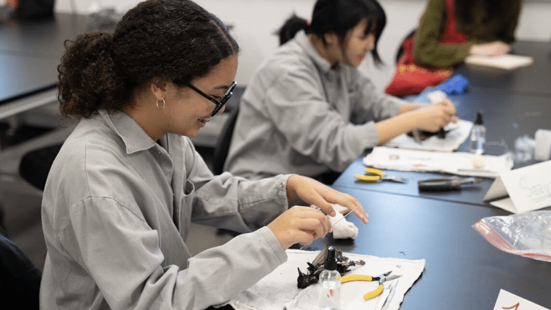 A student carefully works on a small specimen during a taxidermy workshop while other participants work nearby.