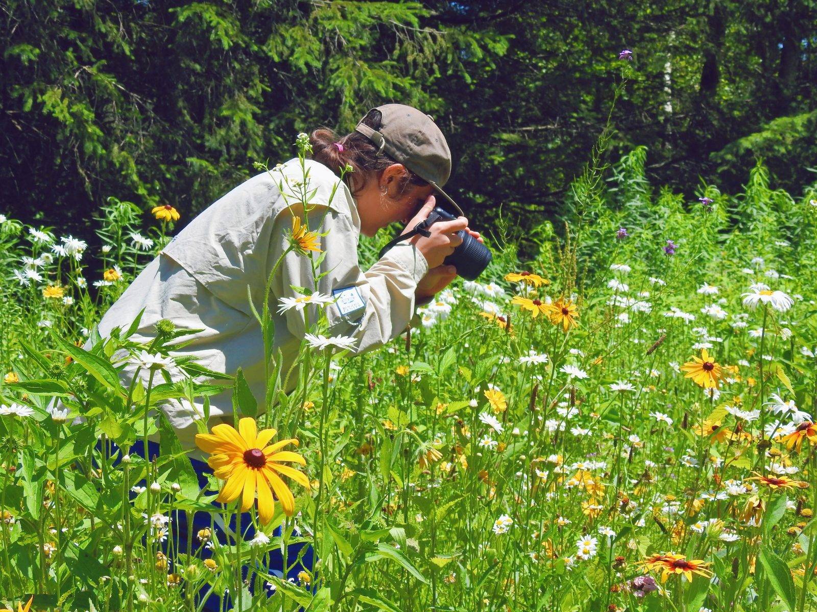 Lulu Manco-Stenz ’26 spent the summer photographing native pollinator species across Rogers Center. Pictured above is a Pollinator Founders Plot, designed to bring native wildflower seeds back to the land. 