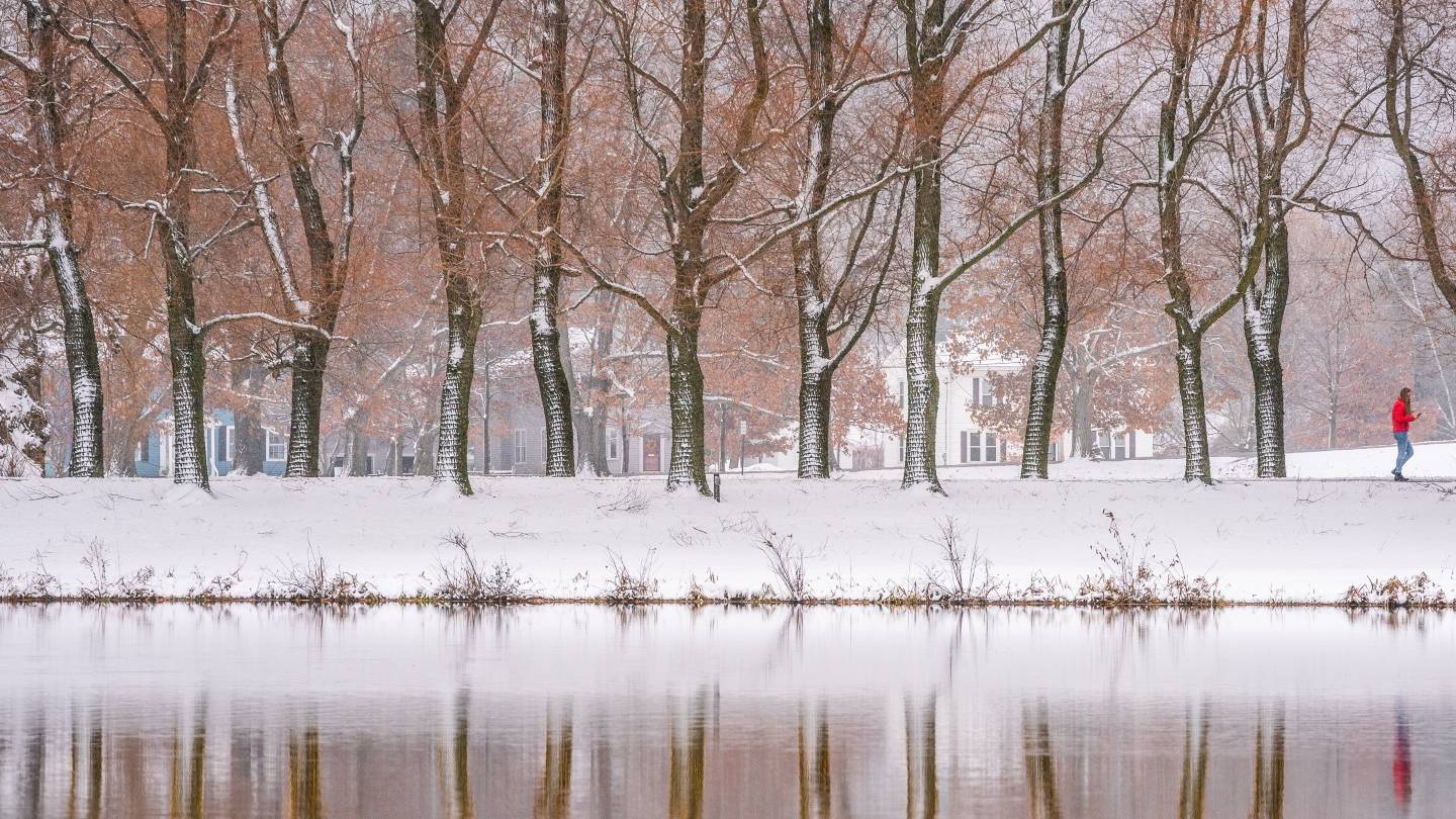 Winter photo of Taylor Lake and trees lining Willow Drive.