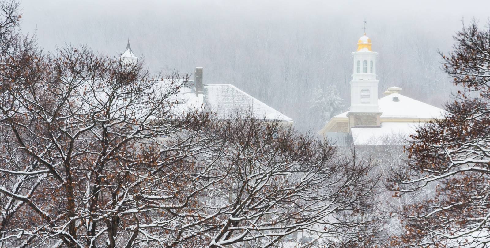 Winter sky with top of the chapel and tree tops.