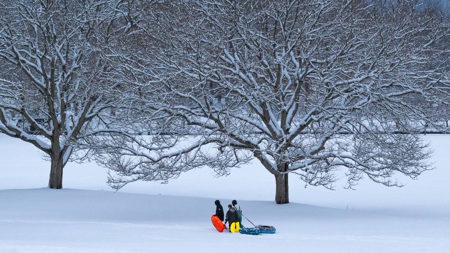 People pulling sleds through the snow with snow covered trees in the background.