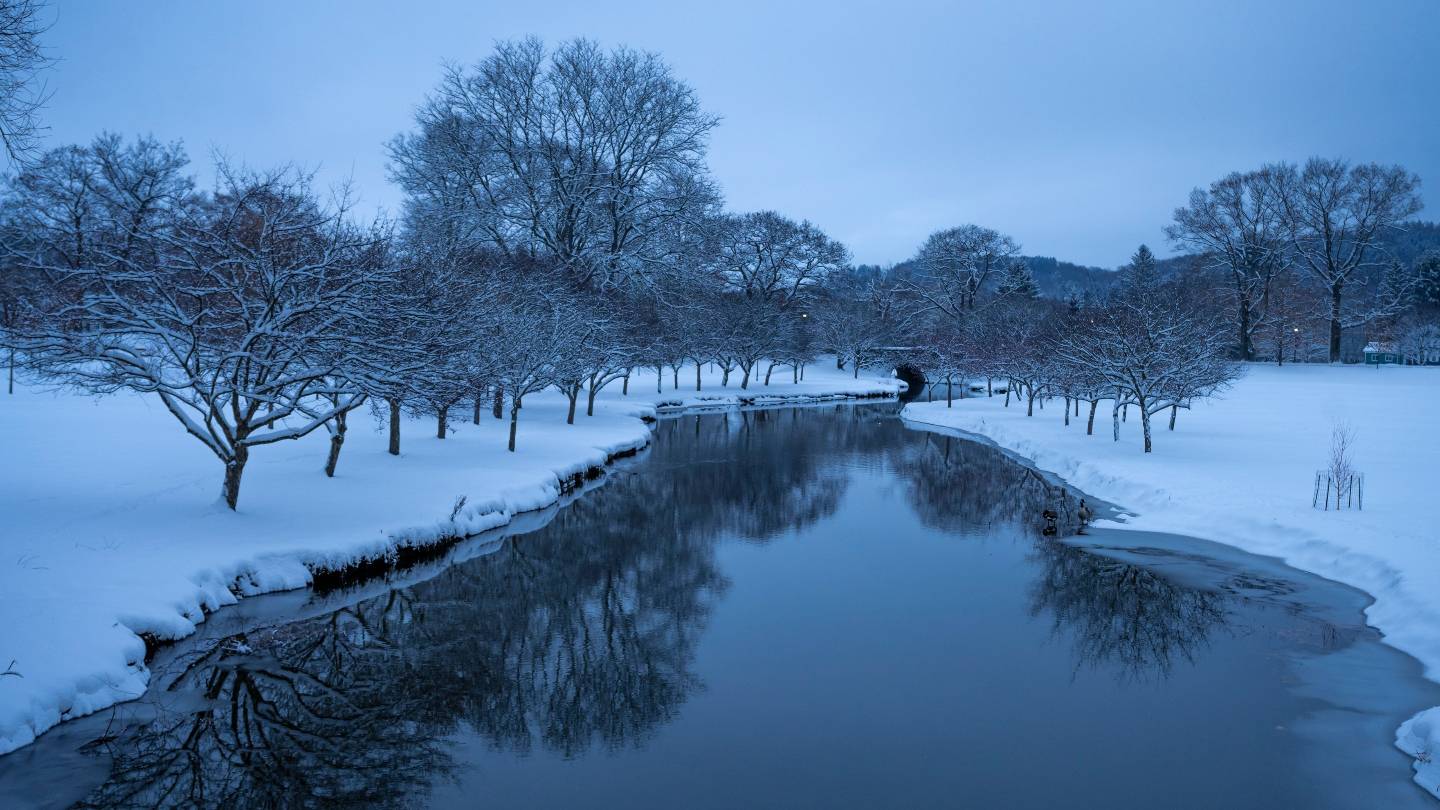 Photo of stream with snow covered ground and trees surrounding it.