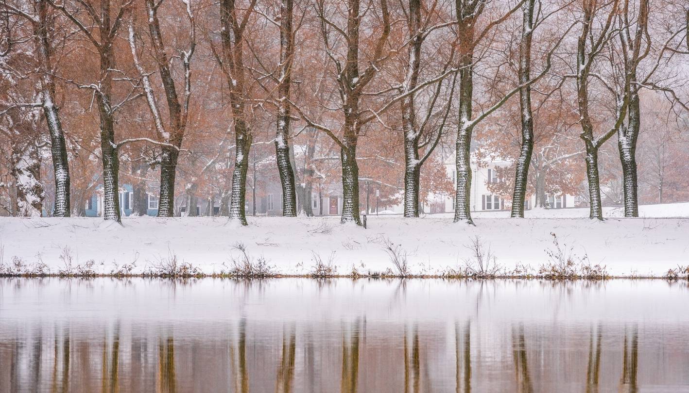 Winter photo of Taylor Lake and trees lining Willow Drive.