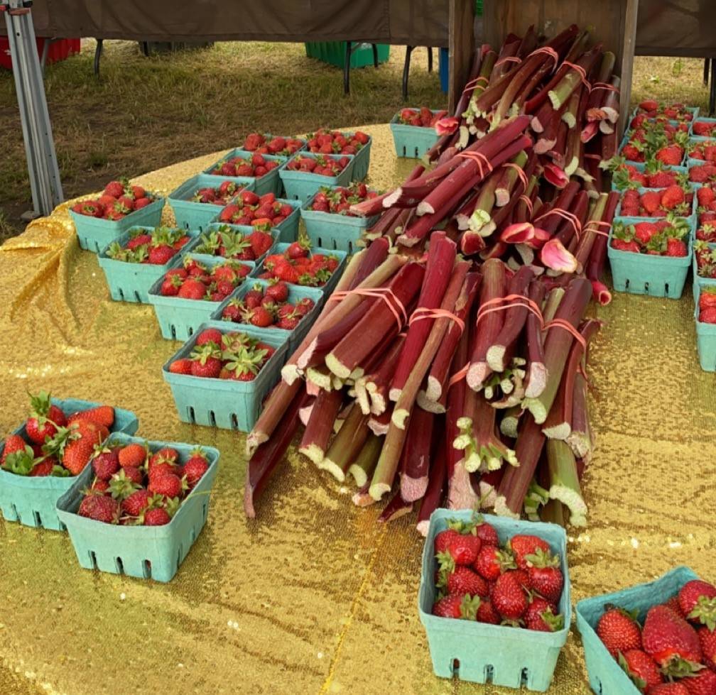 Strawberries on a table at a farmer's market.  Image credit Molly Abruzzese '25.
